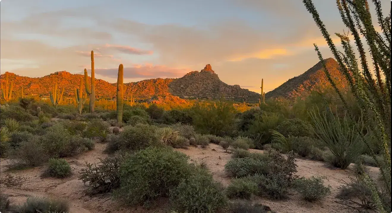 Pinnacle Skyline Residence